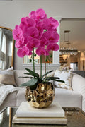 Golden Orchid Glow