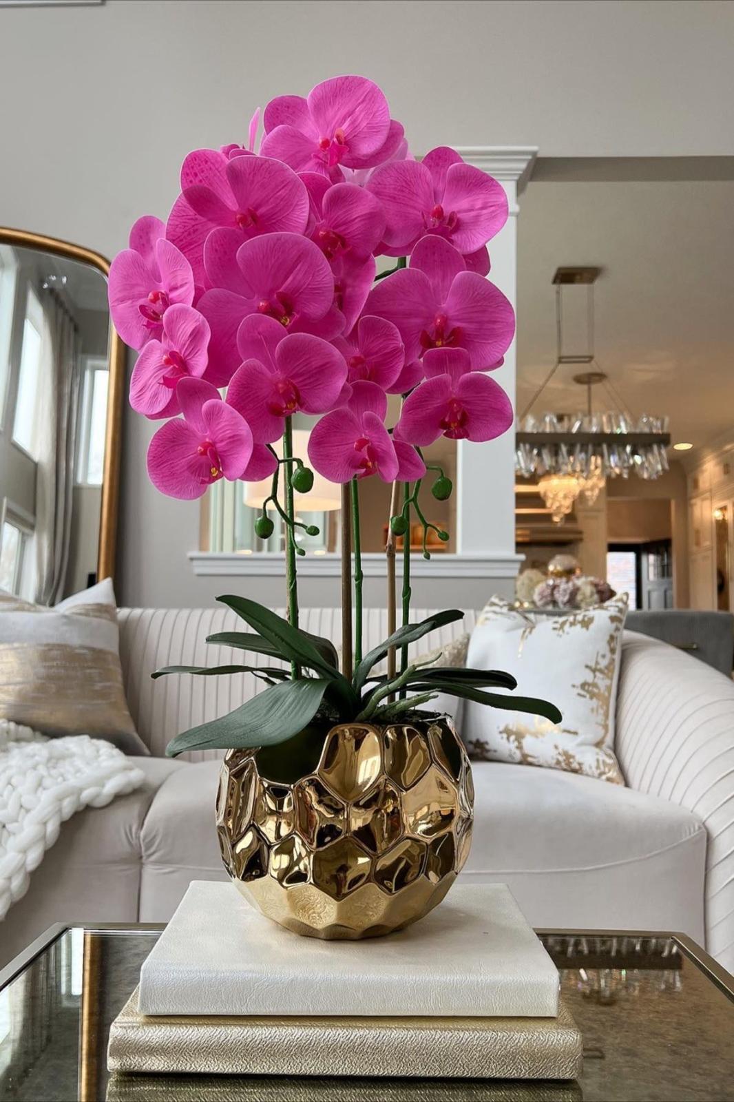 Golden Orchid Glow