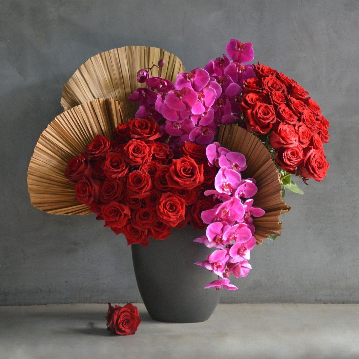 Velvet Bloom