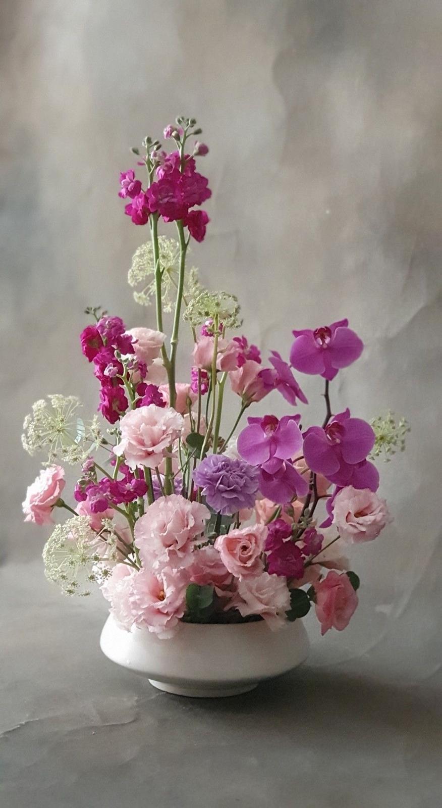 Secret Garden Bloom
