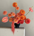 Sunset Dahlia Muse